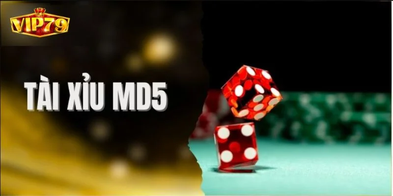 Game Tài Xỉu MD5: Nhập Môn Cược Tân Thủ Cần Nắm Bắt Gì? 4 Game Tài Xỉu MD5: Nhập Môn Cược Tân Thủ Cần Nắm Bắt Gì?